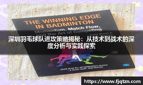 深圳羽毛球队进攻策略揭秘：从技术到战术的深度分析与实践探索