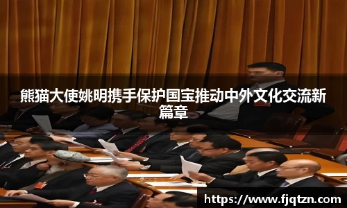 xk体育官网